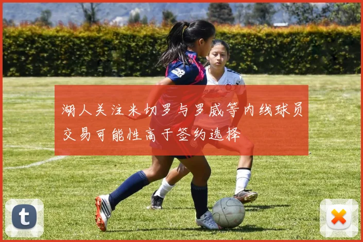湖人关注米切罗与罗威等内线球员交易可能性高于签约选择